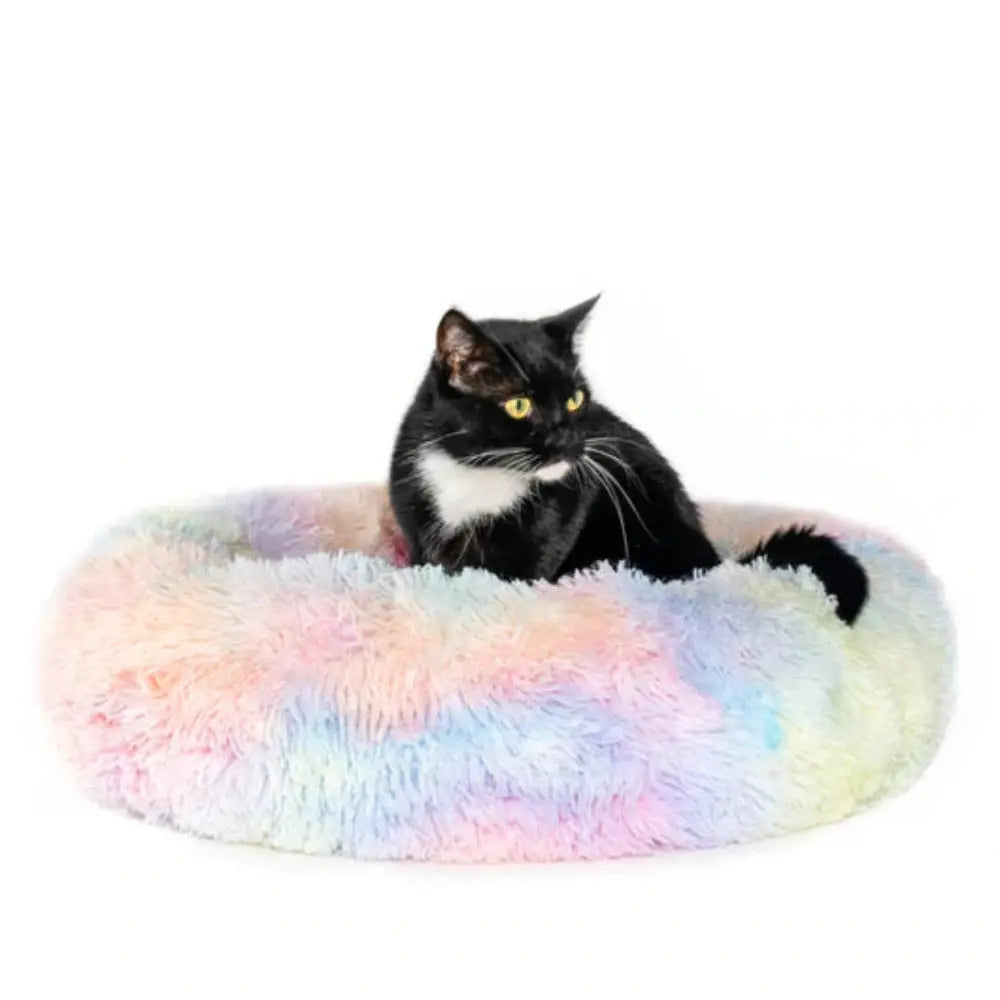 Halbgeschlossenes Katzenbett In Wal-Form – Kuschelig & Gemütlich Für Stubentiger
