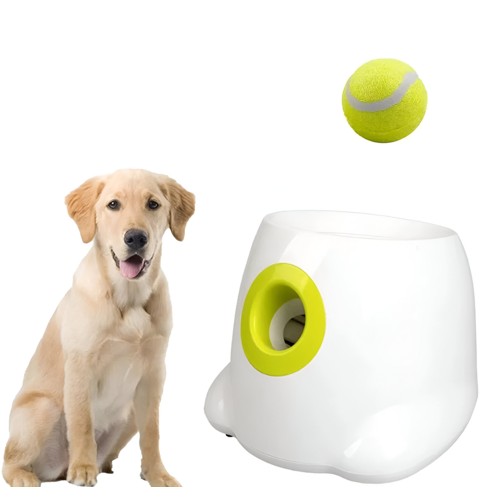 Hundekapselwerfer™ | Der ultimative Wurfspaß für deinen Hund