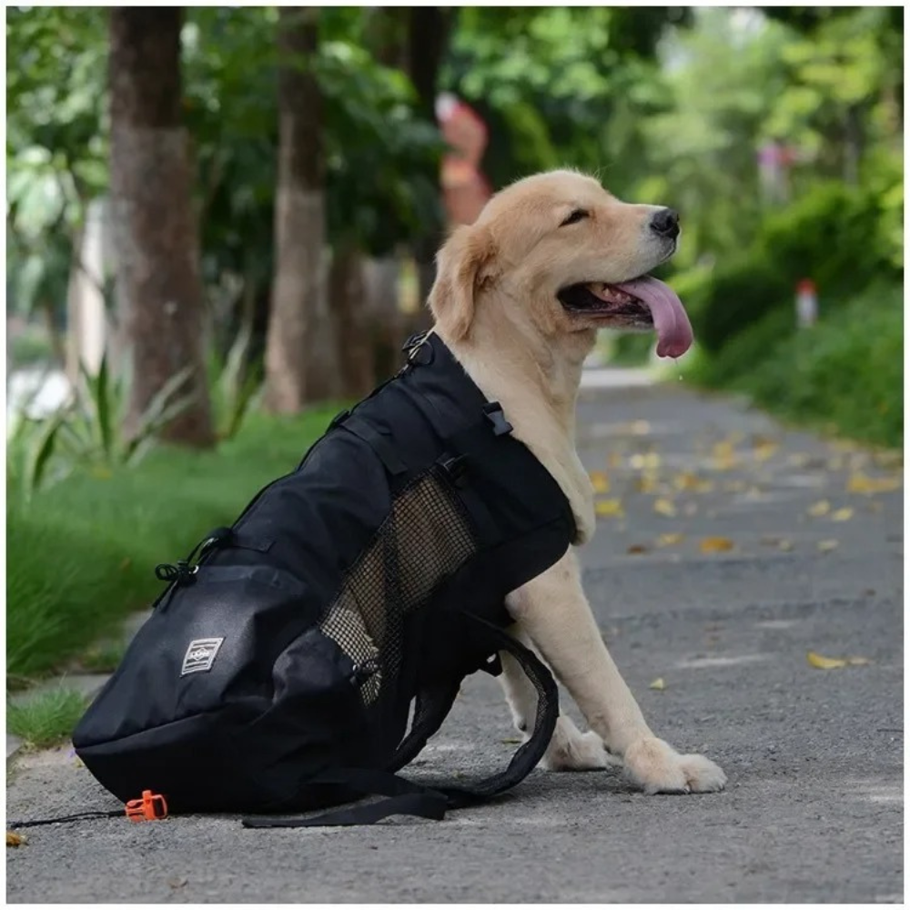 Tragetasche für Hunde™ | Kuscheliger Schutz für unterweg