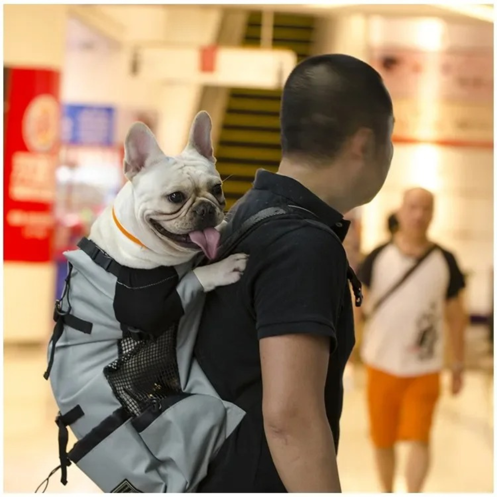 Tragetasche für Hunde™ | Kuscheliger Schutz für unterweg