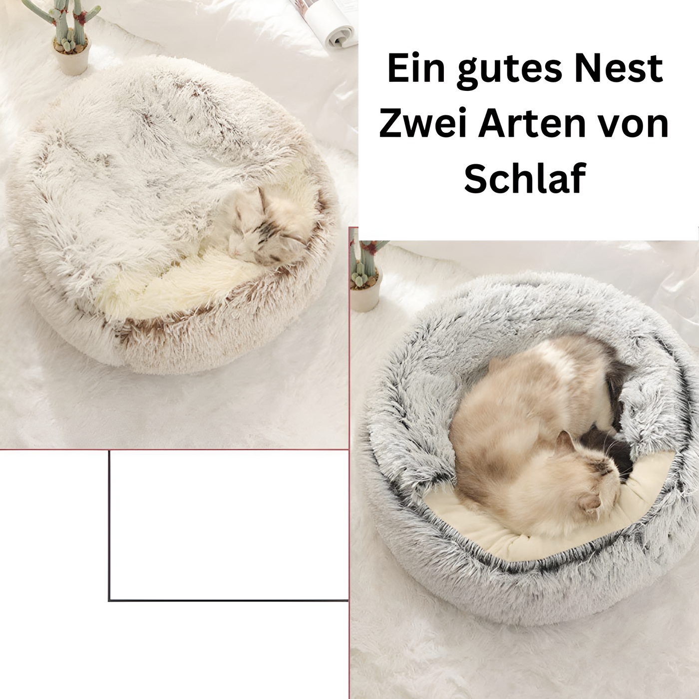 Katzenbett rund™ | Kuschelige Sicherheit für Ihre Katze